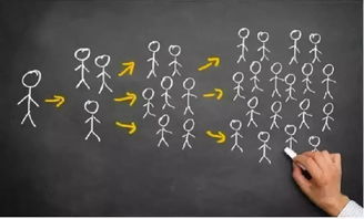 全国25万家母婴店 从创业者到数字内容服务的运营生态