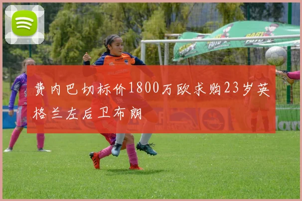 费内巴切标价1800万欧求购23岁英格兰左后卫布朗