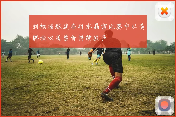 利物浦球迷在对水晶宫比赛中以黄牌抗议高票价持续发声